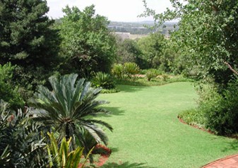 Gardens - Pretoria National Botanical Gardens