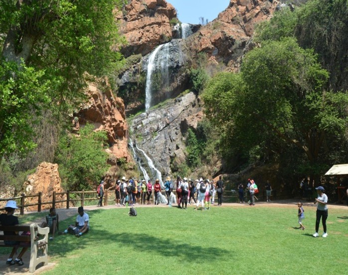 Gardens - Walter Sisulu Botanical Gardens